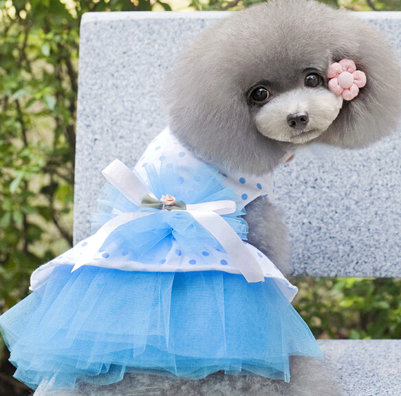 Fashional summer skirt pet cloth ,cute dog cloth,pet apparel