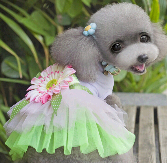 Beautiful cute flower dress skirt cat cloth, skirt dog cloth