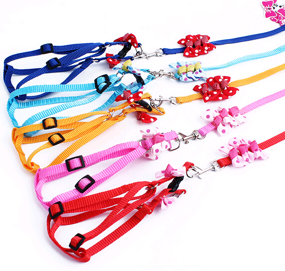 Promotional cheap nylon dog collar and leash with bow flower
