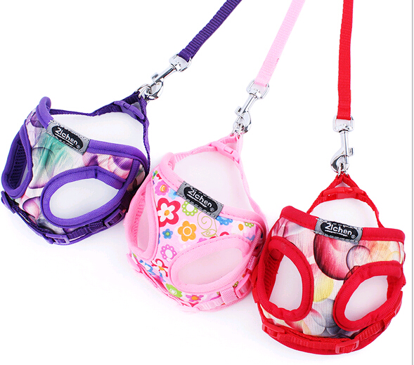 With mesh  pet harness and collar, mesh pet carrier
