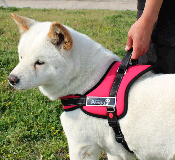 Promotional pet cloth leash, pet harness and leash