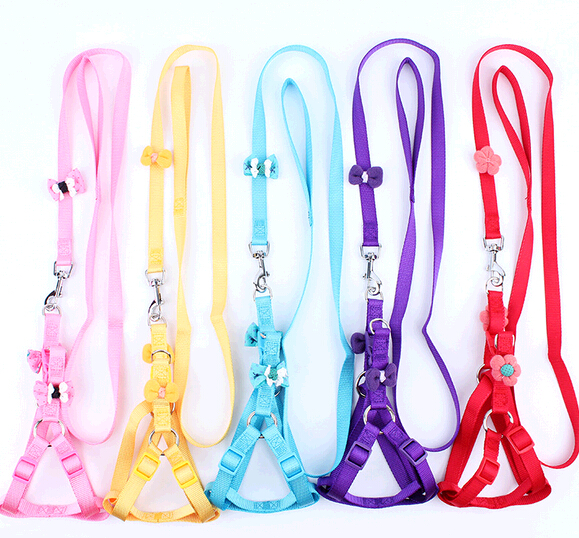 Wholesale cheap nylon pet collar and leashes