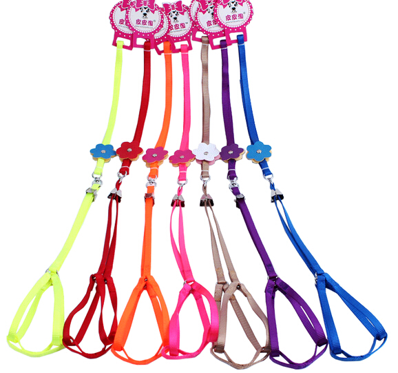 Wholesale cheap nylon dog collars and leashes