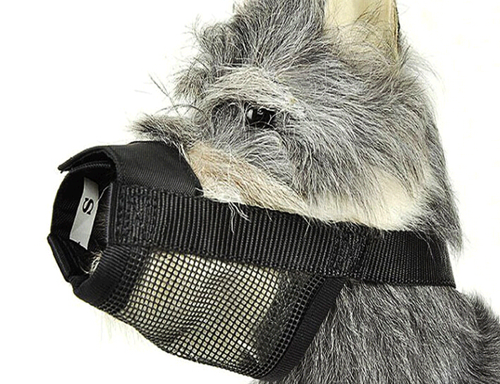 Promotional black pet muzzle, dog muzzle