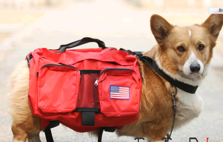 with usa flag printing logo oxford cloth pet carrier for dog