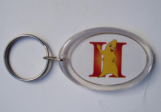 Promtional oval shape custom logo acrylic keychain