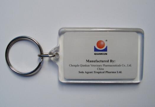 Promotional cheap rectangle shape acrylic keychain