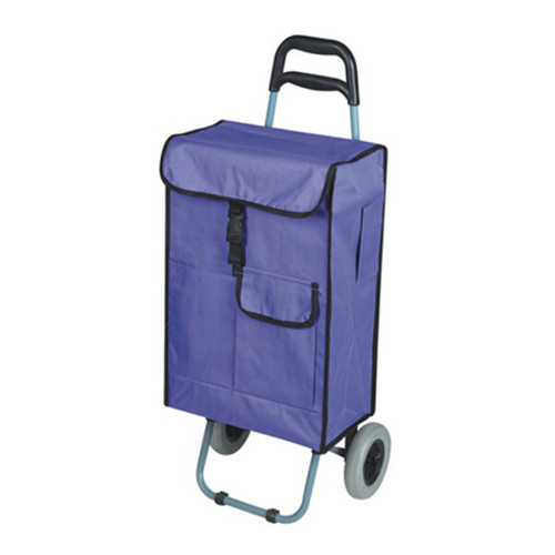 Two wheeled folding trolley shopping cart