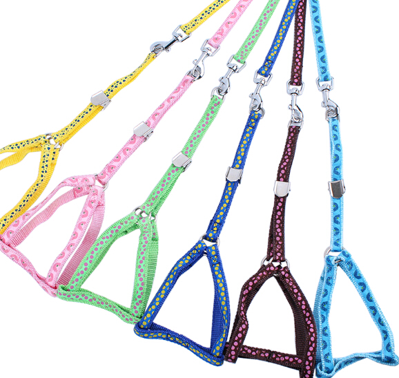 Promotionl nylon dog lead, nylon dog leashes, nylon dog collar, nylon pet leash
