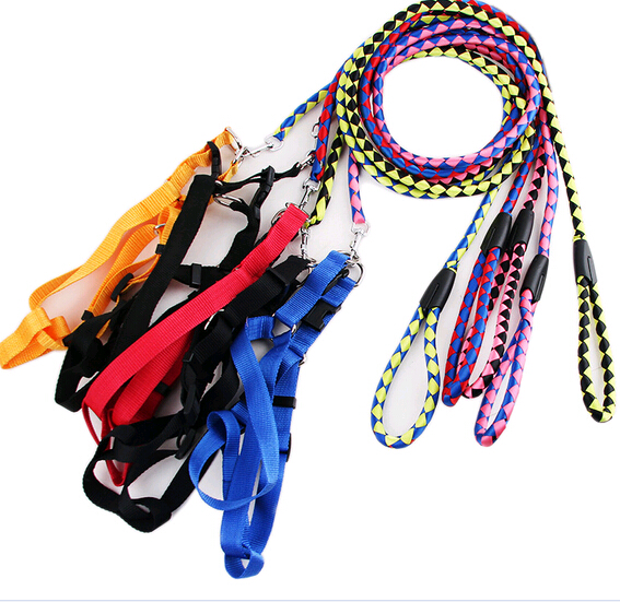 Polyester core-spun polypropylene pet collar and leash