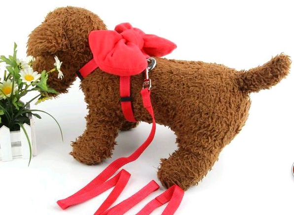 Nylon pet collar and leash with bow, dog collar and leash with bow