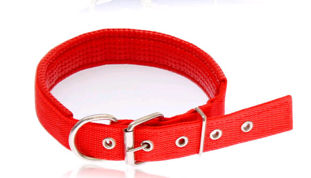 Wholesale leather pet collar and leash, personalized dog collar and leashes